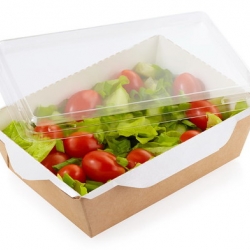 Упаковка ECO OpSalad-1000  200х140х55мм  1/150шт